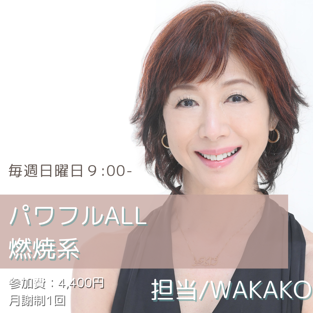 パワフルALL燃焼系